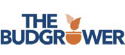 thebudgrower